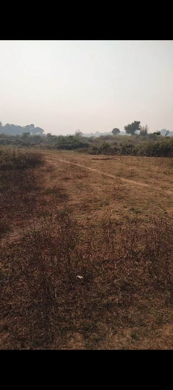 Vacat Land available at Athanga Kanderpur Cuttack